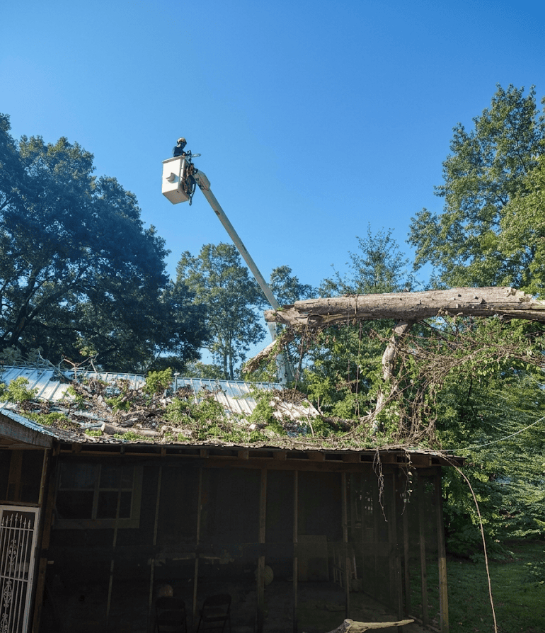 732266929 image9